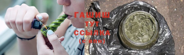 дживик Новозыбков