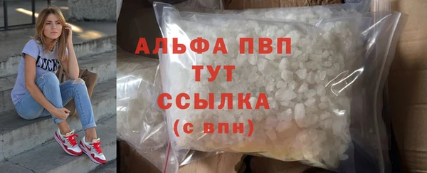 дживик Новозыбков