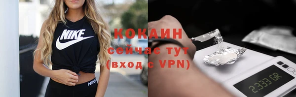 дживик Новозыбков