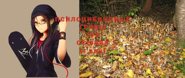 дживик Новозыбков
