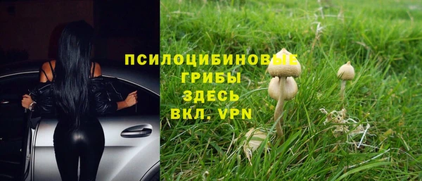 дживик Новозыбков