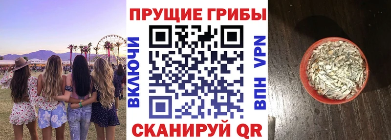 Псилоцибиновые грибы GOLDEN TEACHER  купить наркотик  Цивильск 